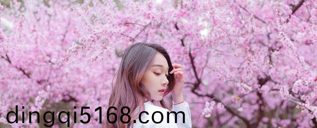 2021辽宁春晚节目单