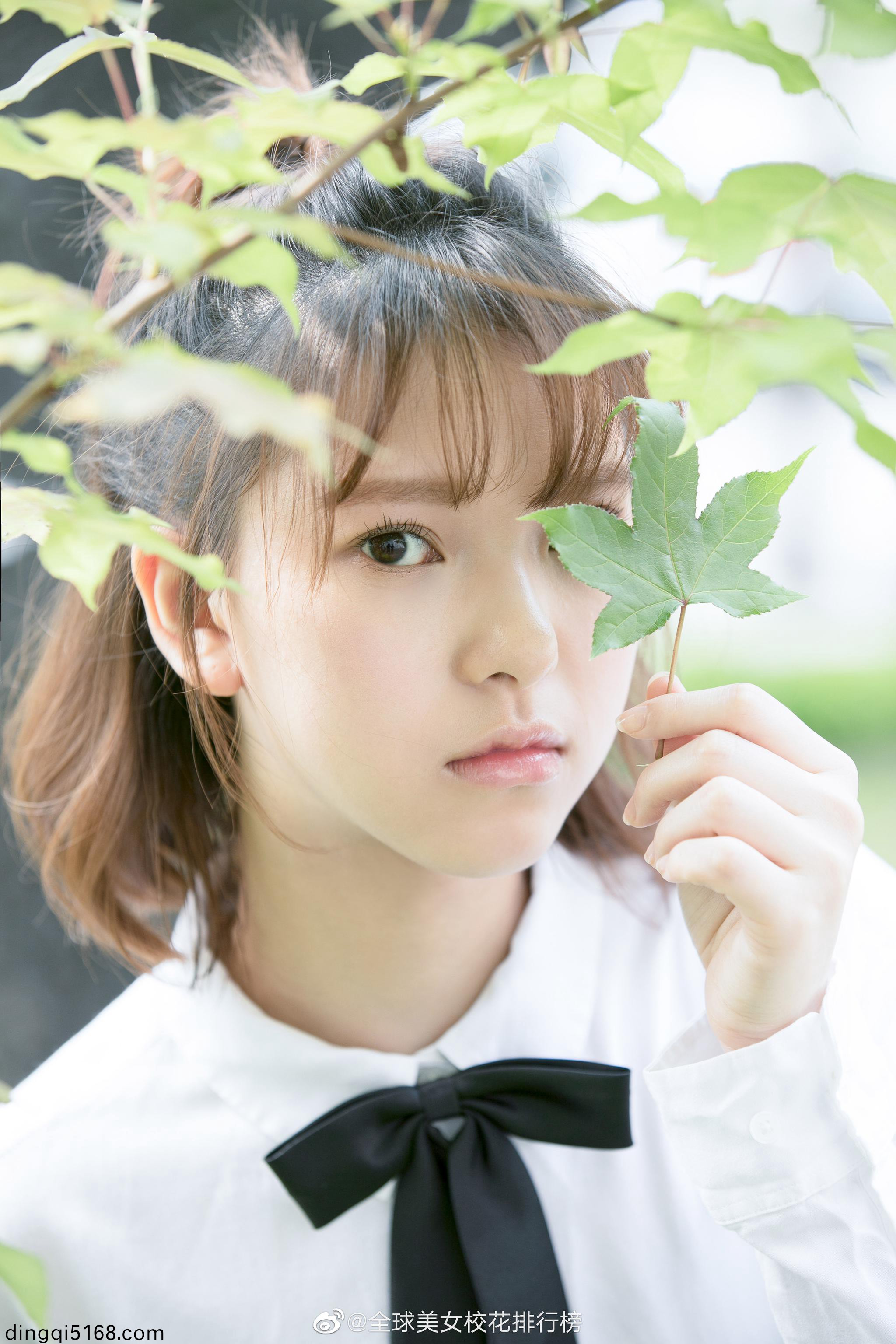 地方党政领导库人物库